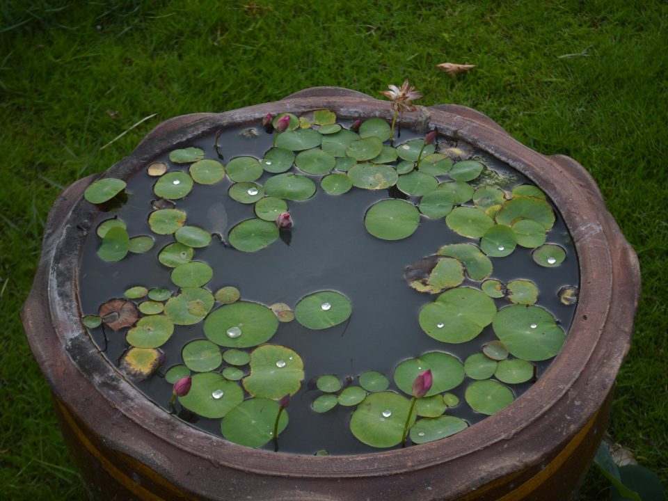 Santé & accompagnement